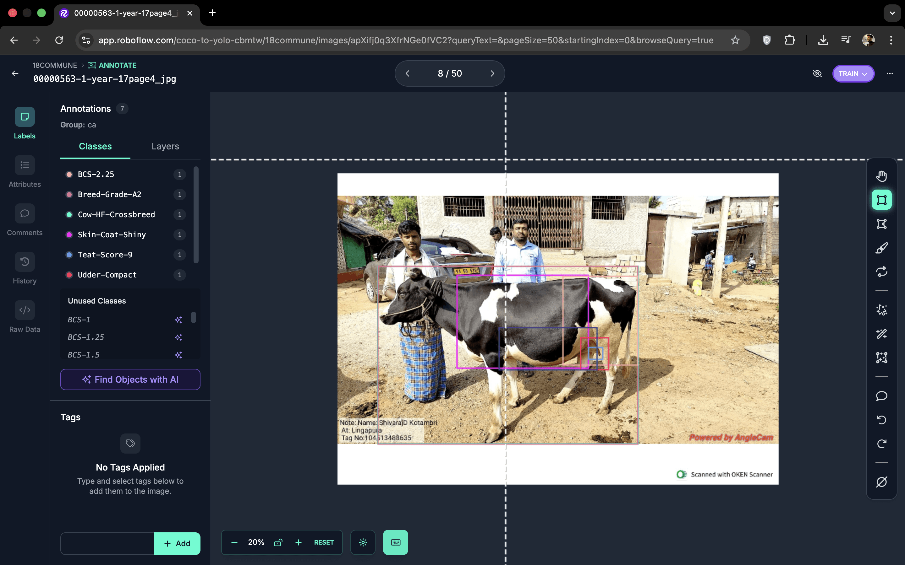 Roboflow annotation interface showing cattle with bounding boxes and class labels including BCS score, breed grade, and coat condition